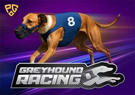 8 Greyhound Racing oyunu